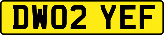 DW02YEF