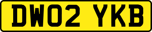 DW02YKB