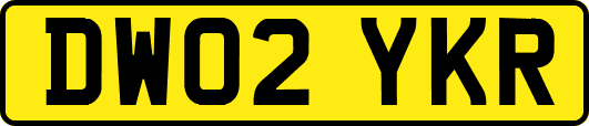 DW02YKR