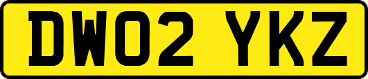 DW02YKZ