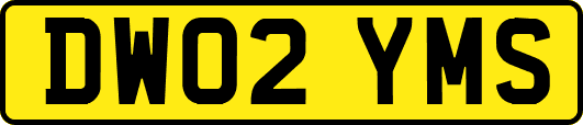 DW02YMS