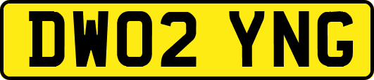 DW02YNG