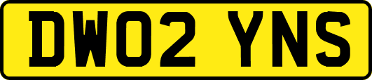 DW02YNS