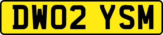 DW02YSM