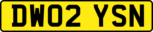 DW02YSN