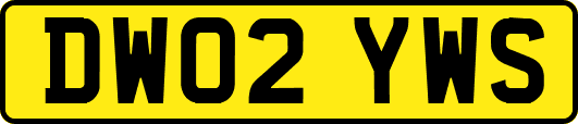 DW02YWS