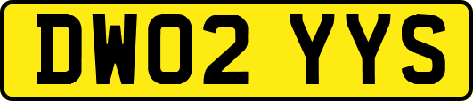 DW02YYS