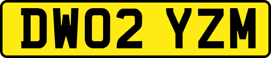 DW02YZM