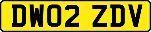 DW02ZDV