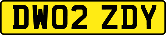 DW02ZDY