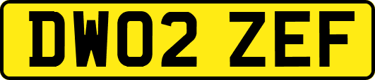 DW02ZEF