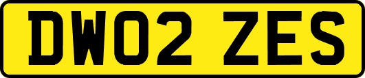 DW02ZES