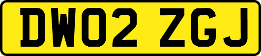DW02ZGJ