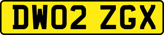 DW02ZGX