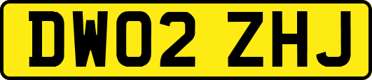 DW02ZHJ