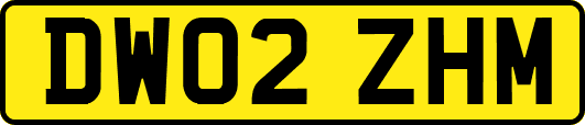DW02ZHM