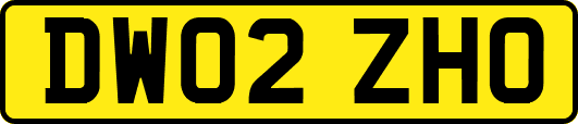 DW02ZHO