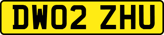 DW02ZHU