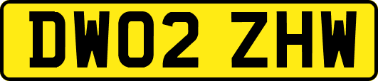DW02ZHW