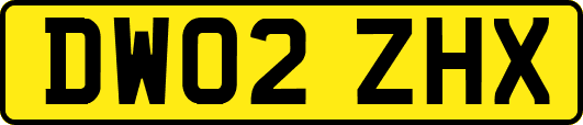 DW02ZHX