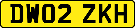 DW02ZKH
