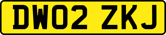 DW02ZKJ