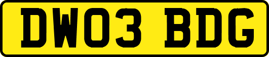 DW03BDG