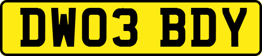 DW03BDY