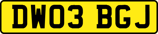 DW03BGJ