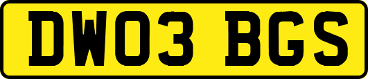 DW03BGS
