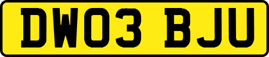 DW03BJU