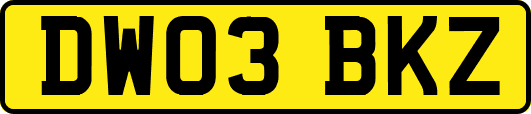 DW03BKZ