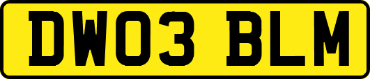 DW03BLM