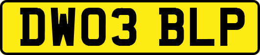 DW03BLP