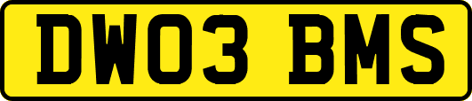 DW03BMS