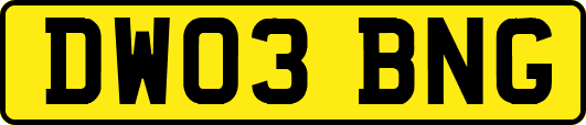 DW03BNG