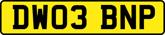 DW03BNP