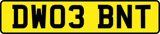 DW03BNT