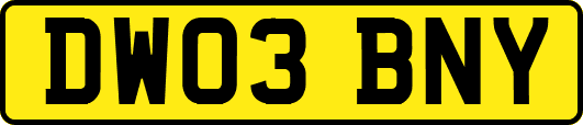 DW03BNY