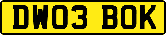 DW03BOK