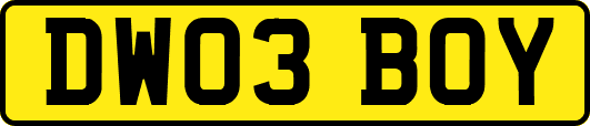 DW03BOY