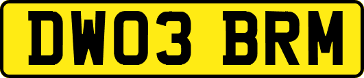 DW03BRM