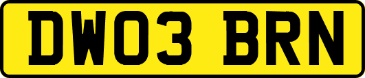 DW03BRN