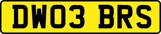 DW03BRS