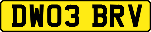 DW03BRV