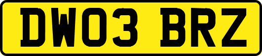 DW03BRZ