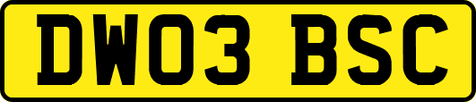 DW03BSC