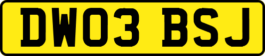 DW03BSJ