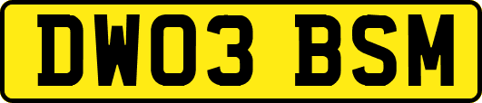 DW03BSM