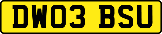 DW03BSU
